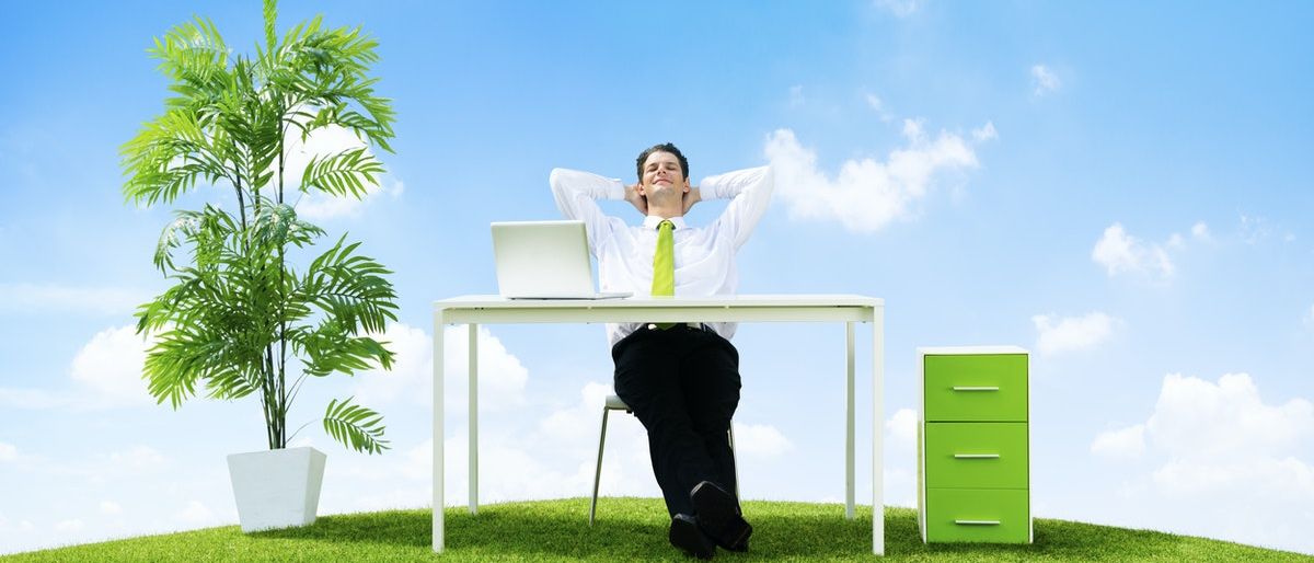 Organic Innovation, The Best Way Forward organic innovation