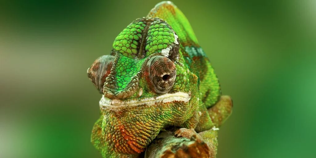 Innovation Speaker Creativity Speaker be more colin