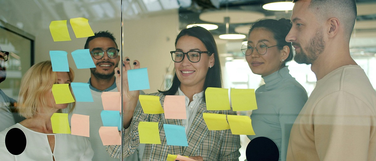 diversity of experience